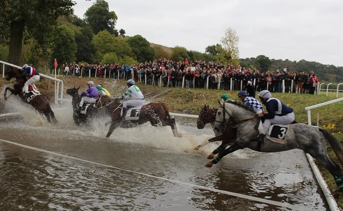 Hippodrome de Nuillé sur Vicoin