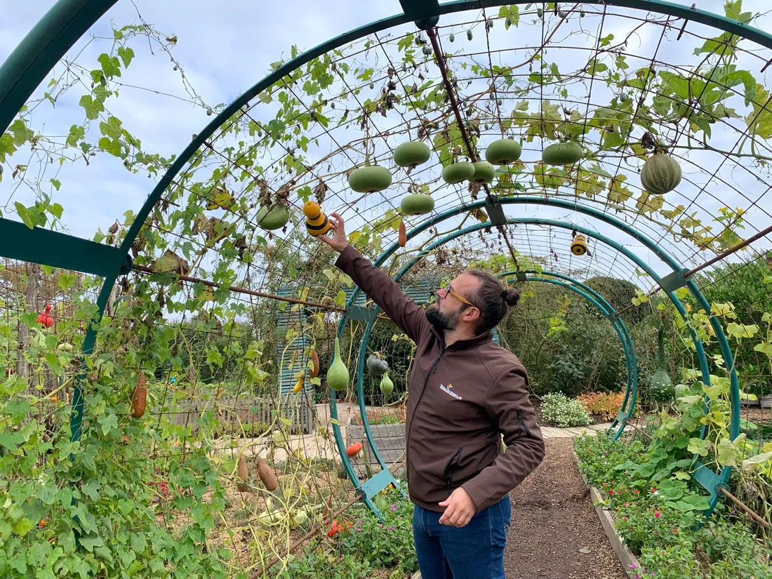 Fête Automne Terra Botanica Boris Barré_02 10 24_AVC