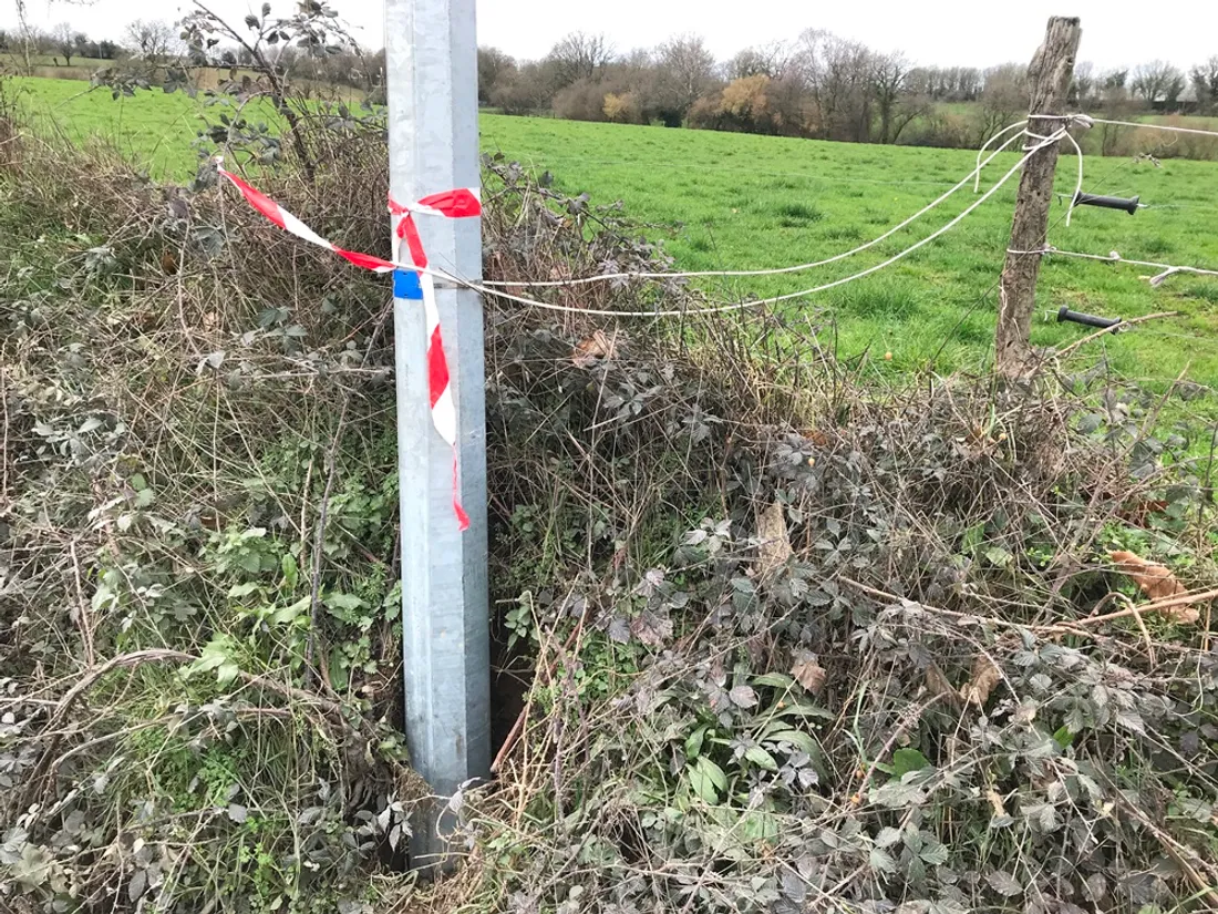 Poteau attaché téléphone Misengrain Noyant_03 02 23_CJ