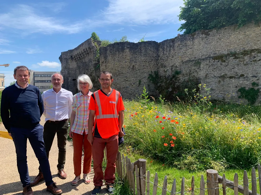 Végétalisation Laval Remparts_27 06 24_AVC