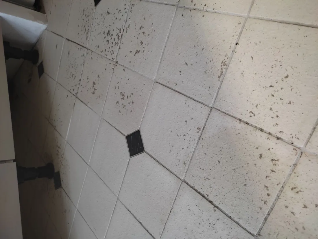 Dégâts eaux Segré_07 01 25_DR