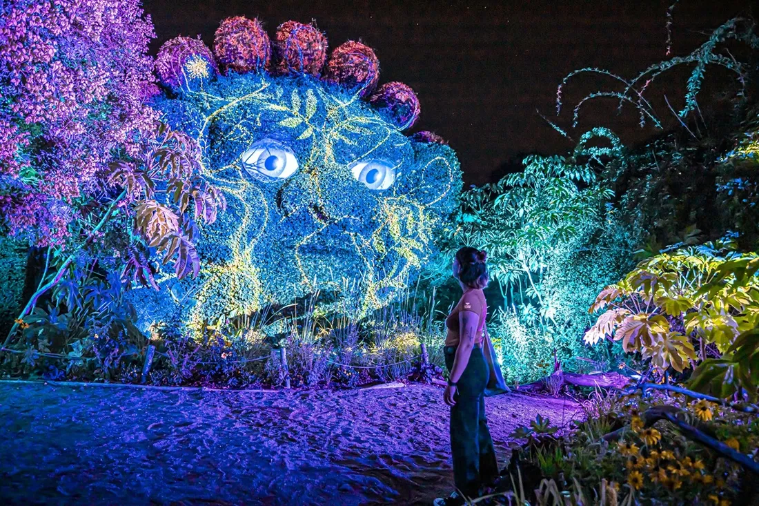 Terra Nocta Botanica_18 11 24_Terra Botanica