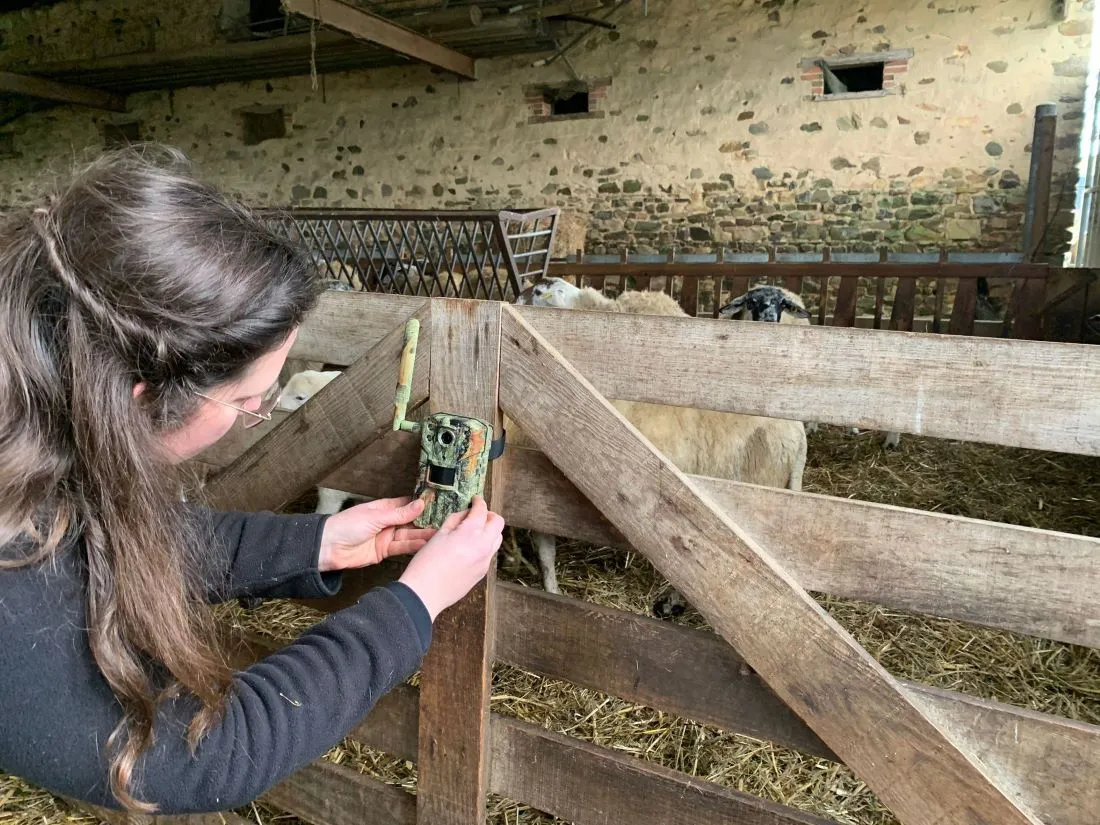 Typhaine Joly Caméra Loup_04 02 25_AVC