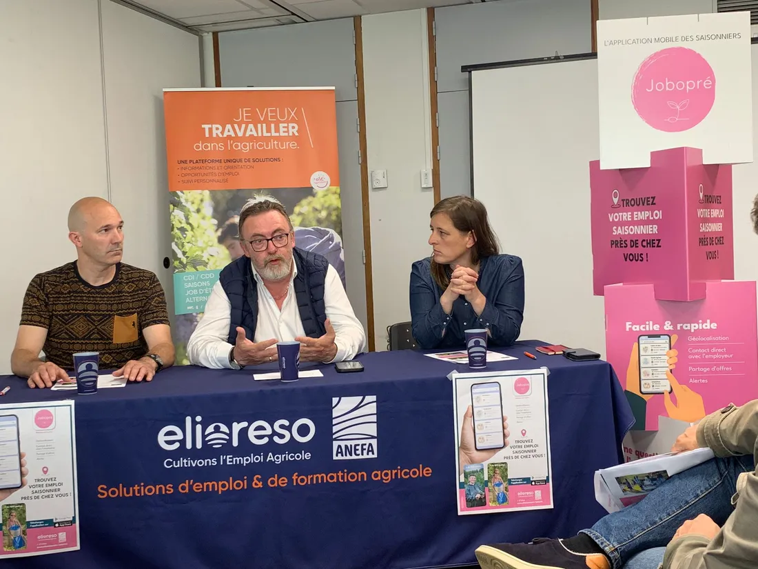 Recrutement saisonniers ANEFA Elioreso_10 07 24_AVC
