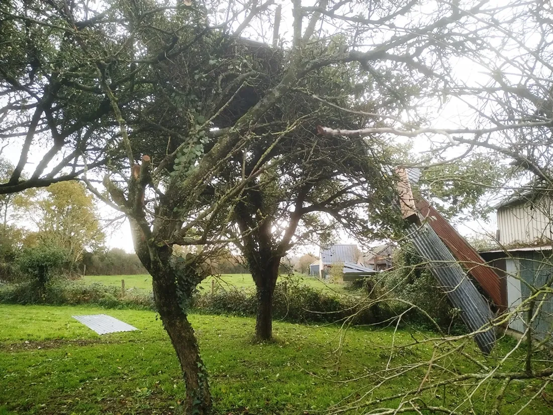 mini tornade chapelle aux pies bouillé arbre à tole_24 11 22_CJ