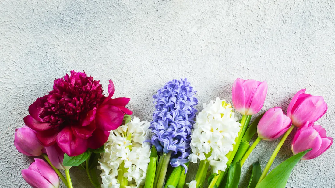 photo d'illustration