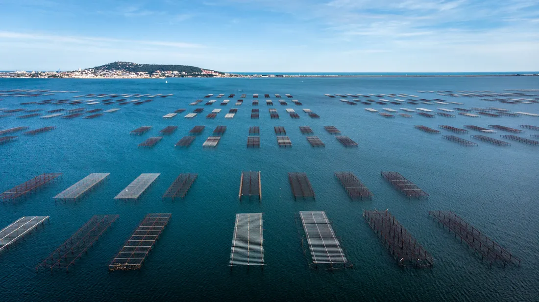 La lagune de Thau s'étend sur quelque 7.000 hectares, à proximité de Sète.