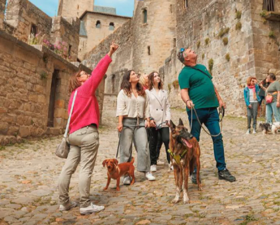 La Cité Médiévale de Carcassonne : destination dog-friendly