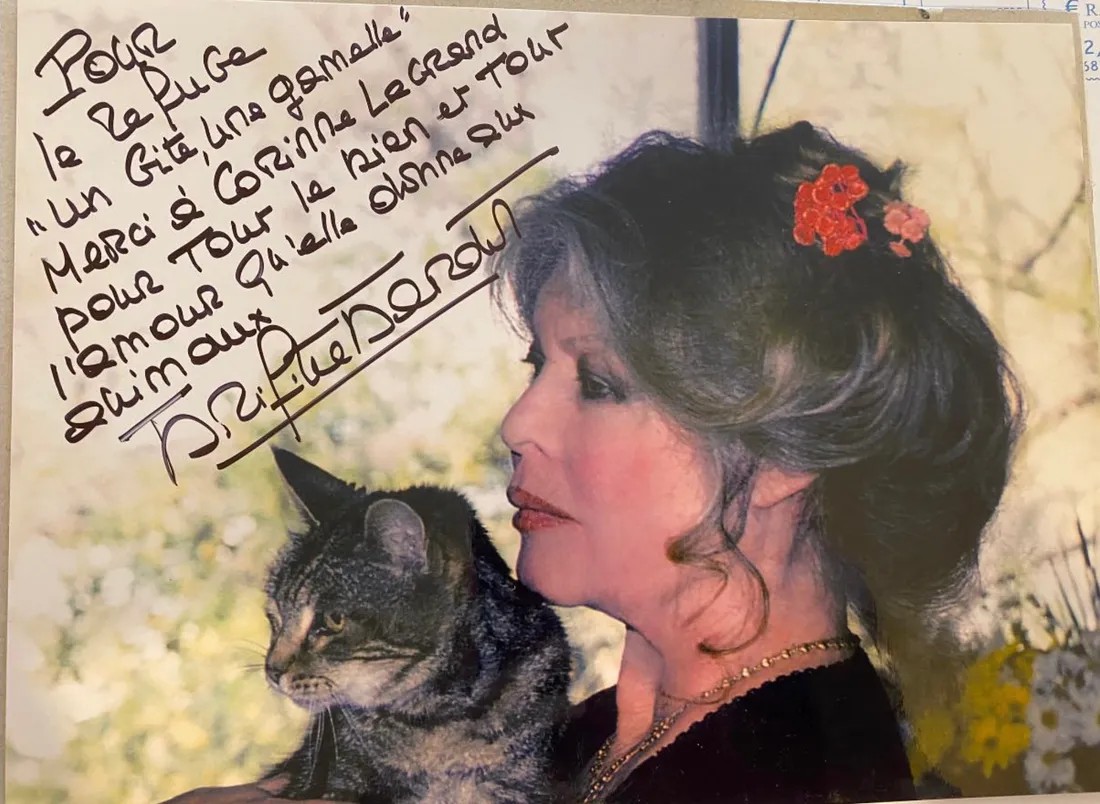 Photo dédicacée par Brigitte Bardot