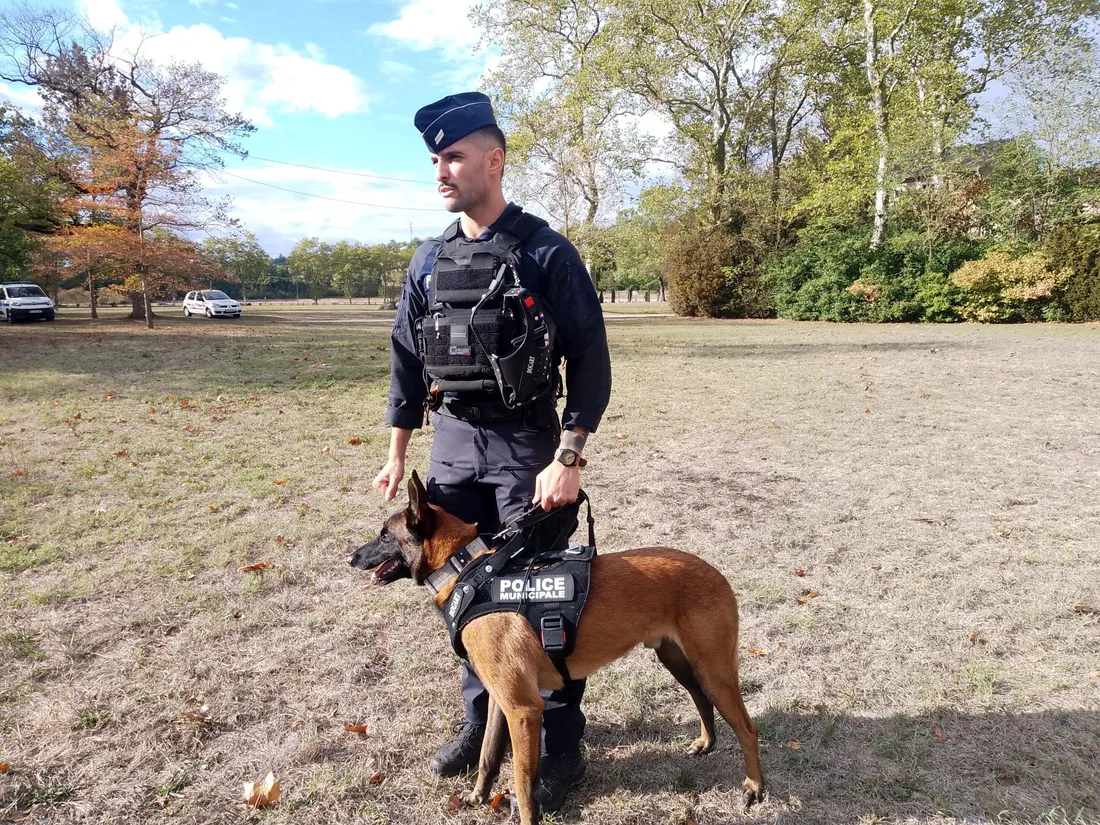 Brigade canine Castres