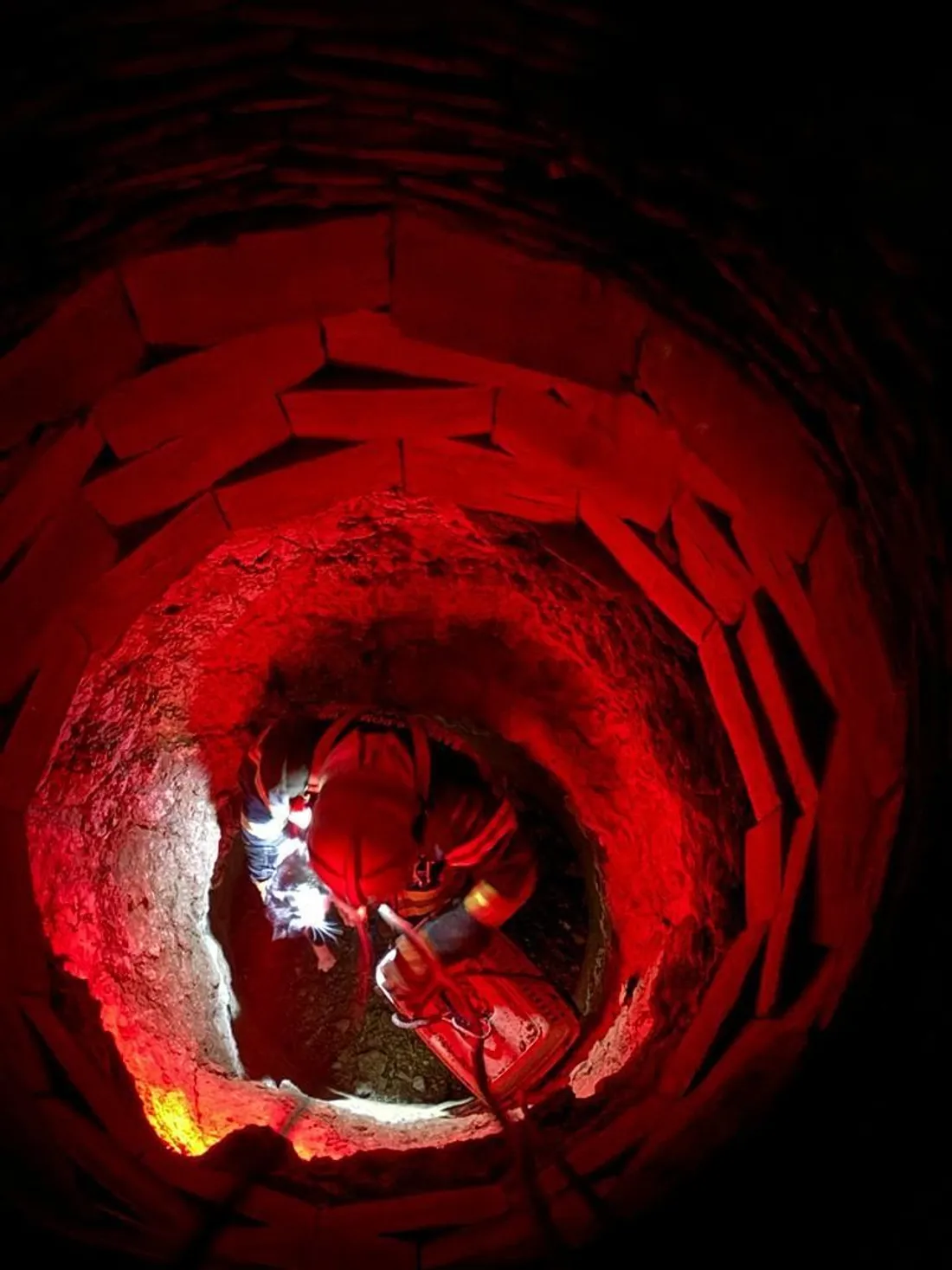 chat sauvé St Léon