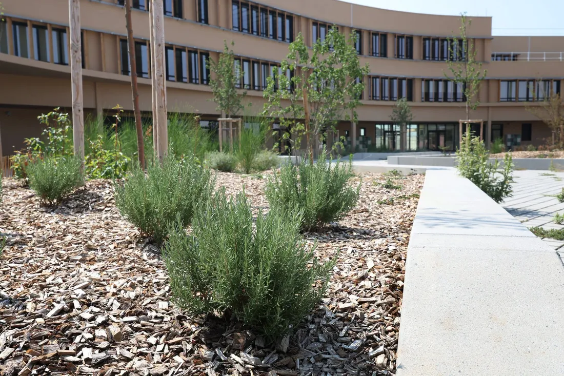 Collège Couffouleux