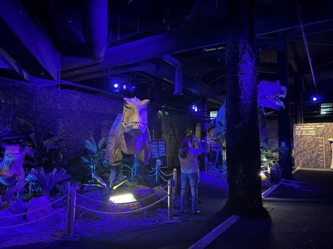 Expo Dinos Alive
