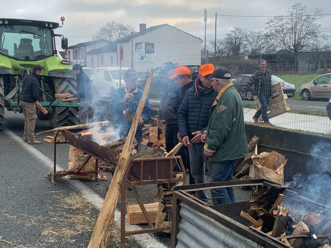 Les agriculteurs manifestent dans toute l'Occitanie, ici à Albi. 