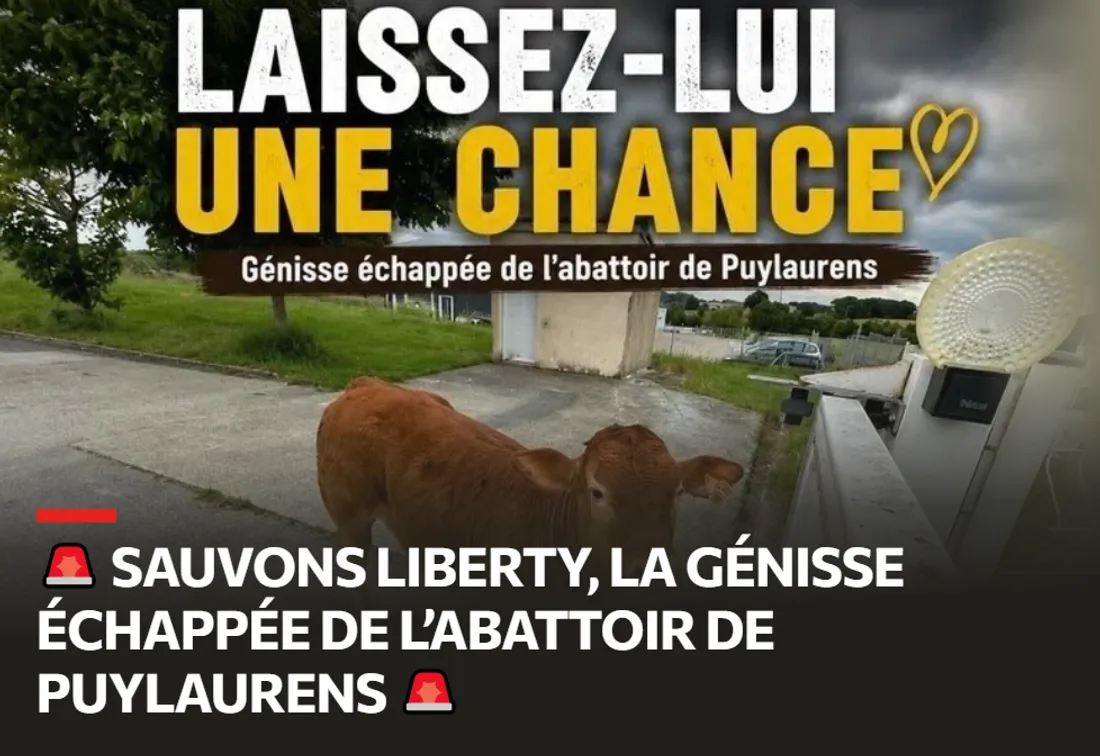 Liberty