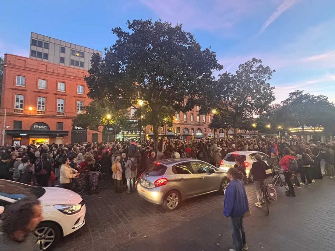Manif contre racisme Toulouse