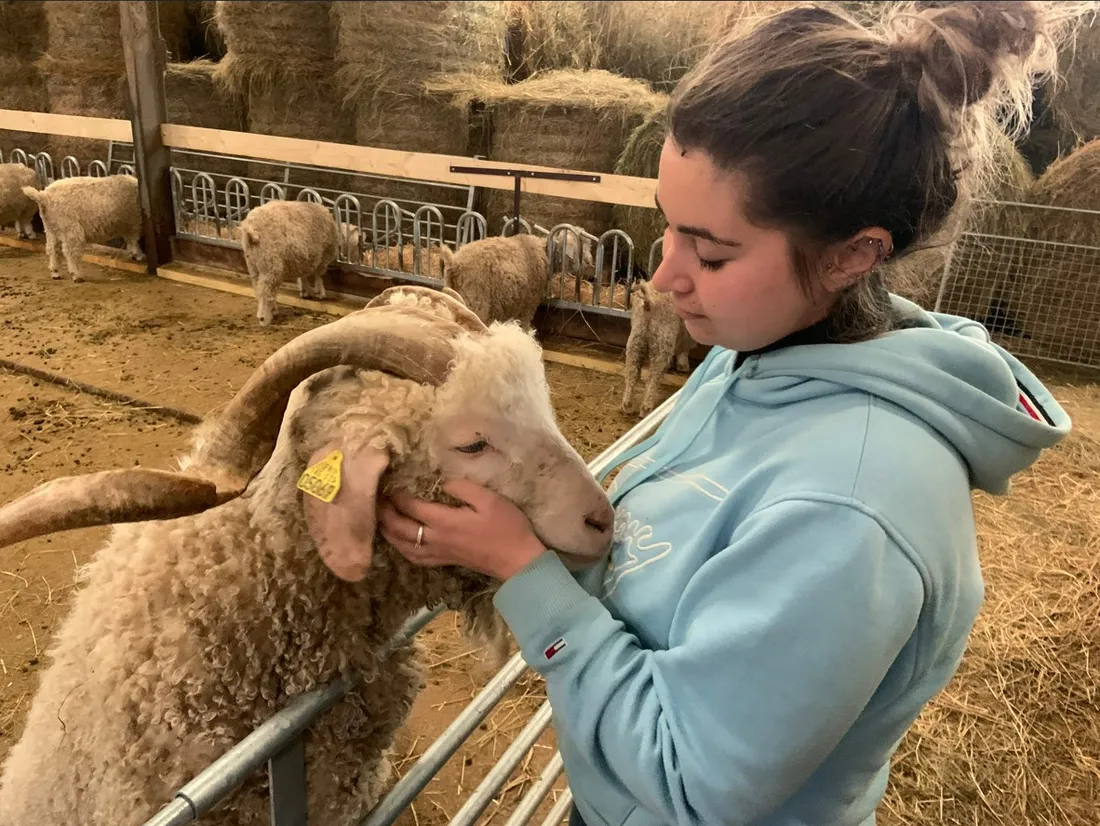 Crystele Gourjade, passionnée de mode et d'agriculture, élève des chèvres angoras pour le mohair