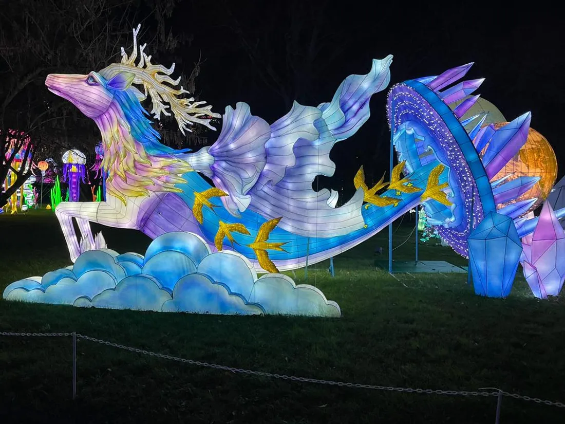 Festival des lanternes montauban 2024