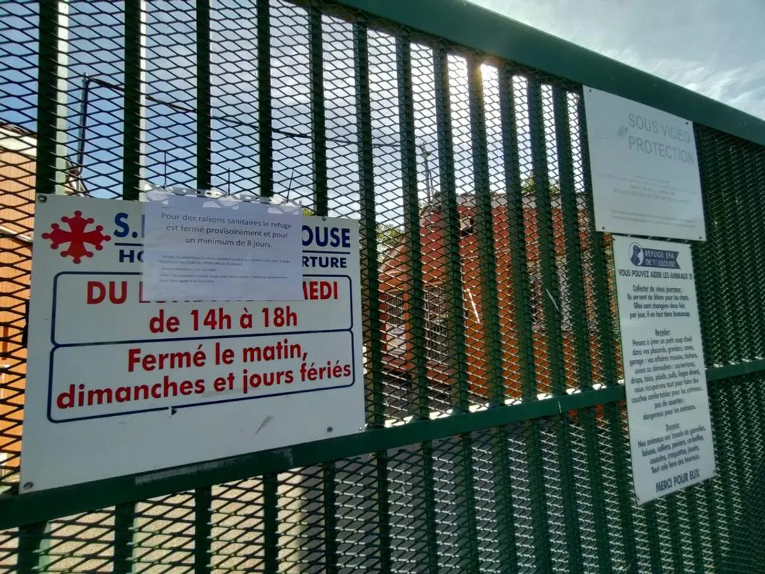 Le refuge ATPA - SPA fermé pour une durée indéterminée suite à une épidémie touchant les chiens