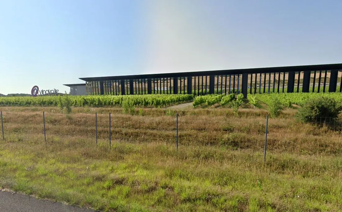 Vinovalie, l'une des plus importantes coopératives françaises, située dans le Tarn