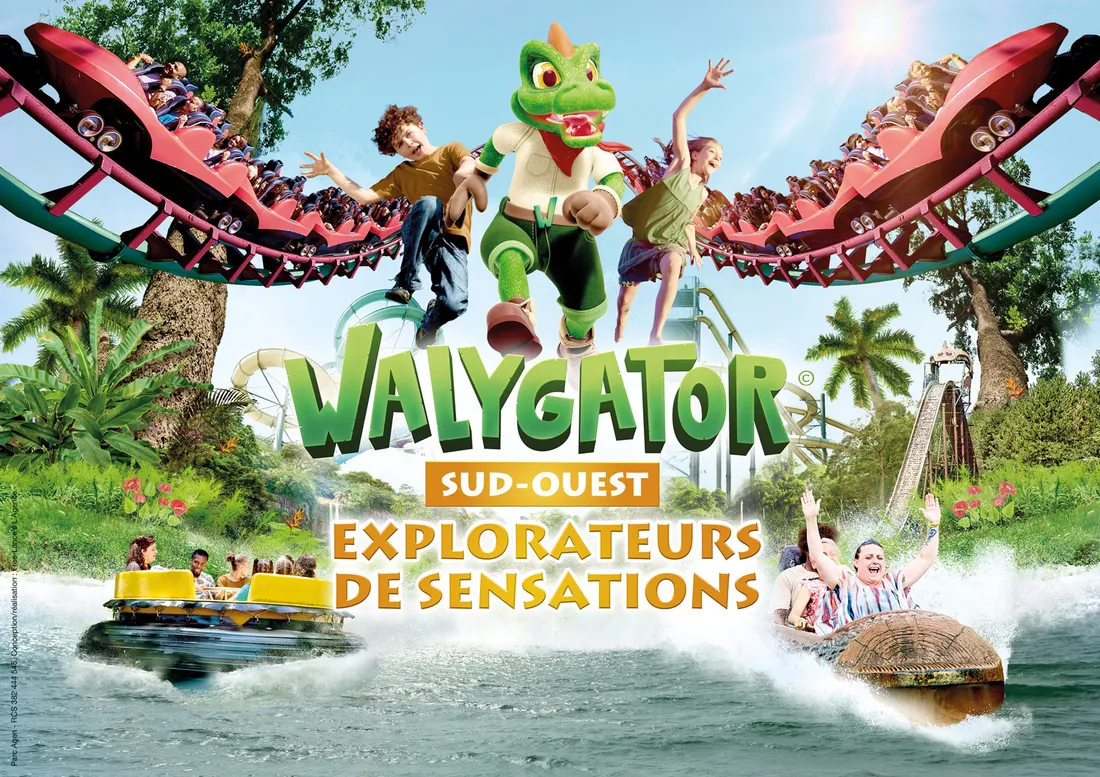 WALYGATOR IMAGE 05 2025