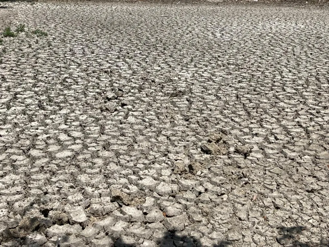 Sécheresse Pyrénées-Orientales