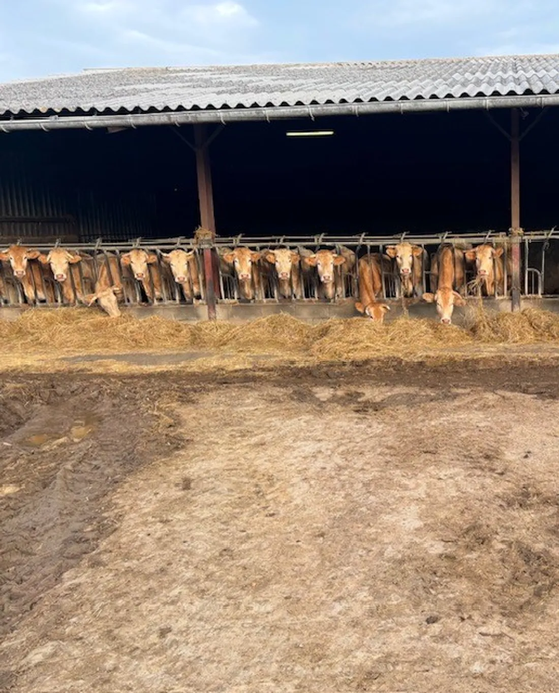 la vigilance reste maximale malgré la vaccination