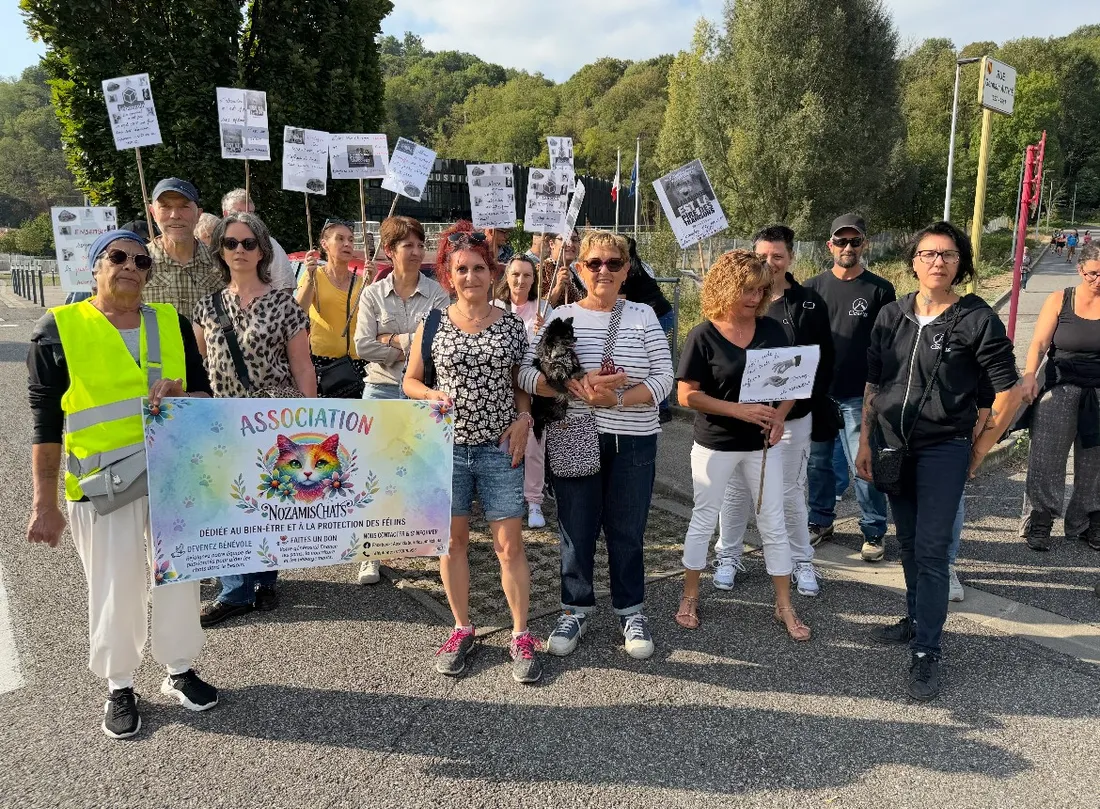 A Foix, ils ont manifesté pour la protection animale