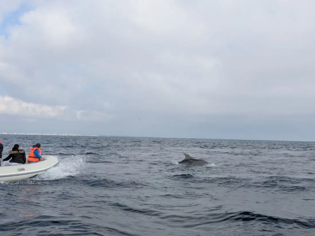 Sortie en mer avec les enfants de l'IME "le soleil des Pyrénées" (14/05/25)