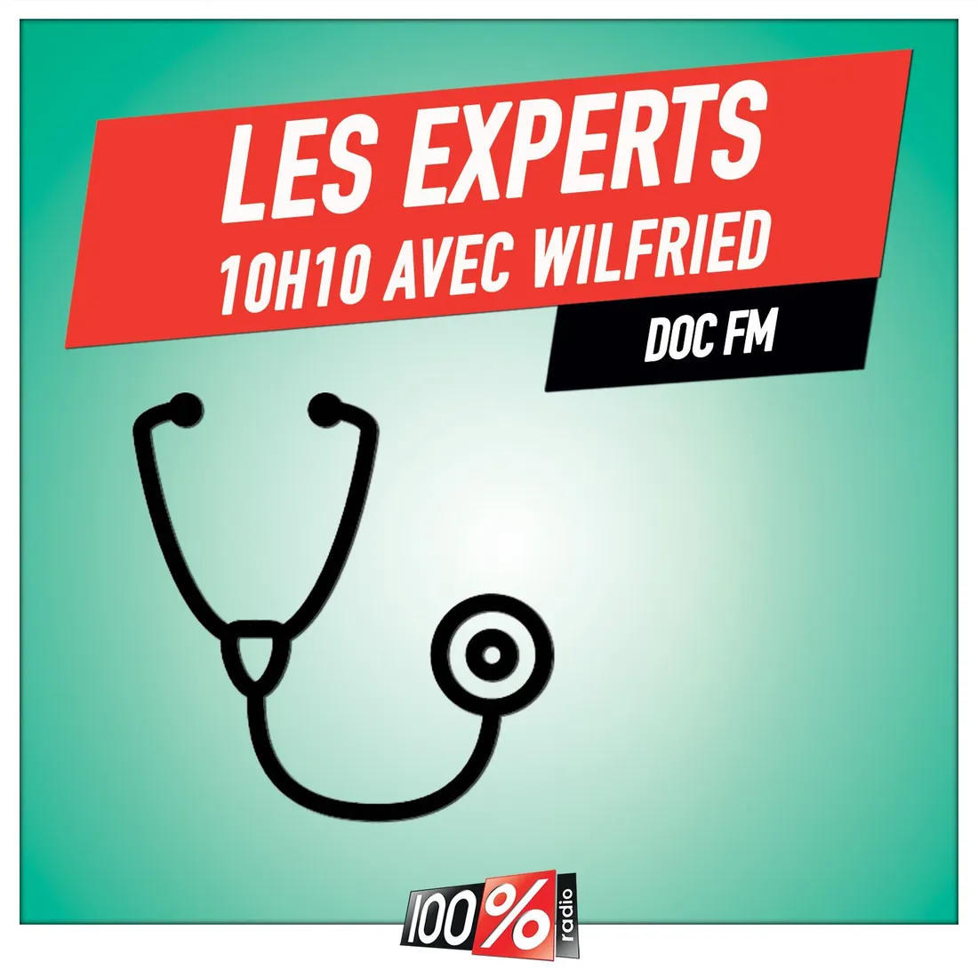 Les experts de Wilfried, Doc Fm