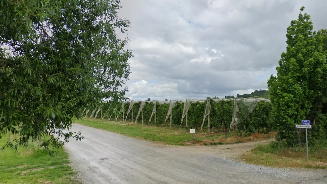 Domaine de Fontorbes