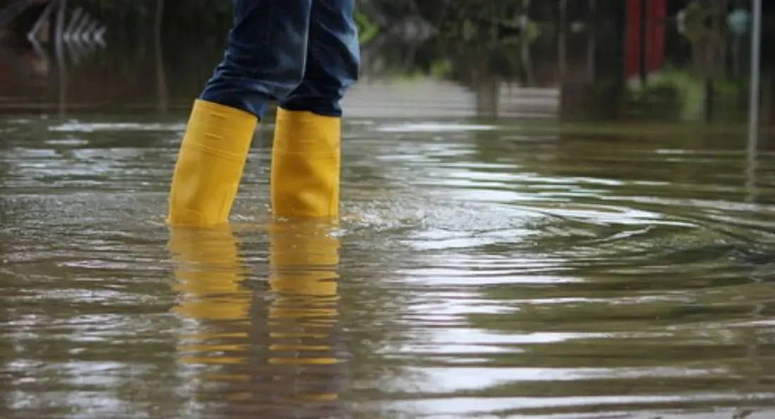 illustration - inondation