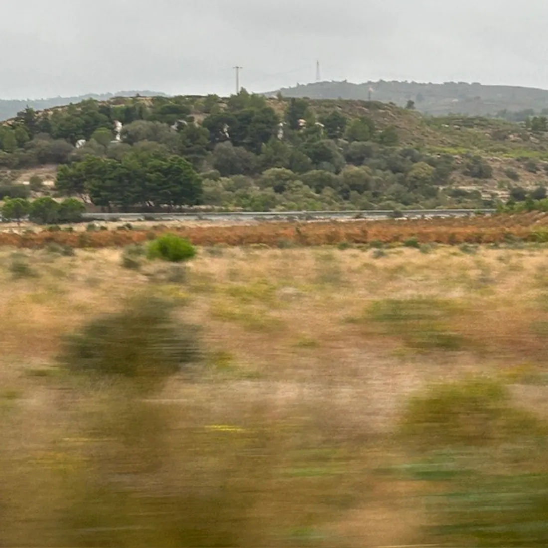 Incendie des Corbières  « la Force de renaître »... 