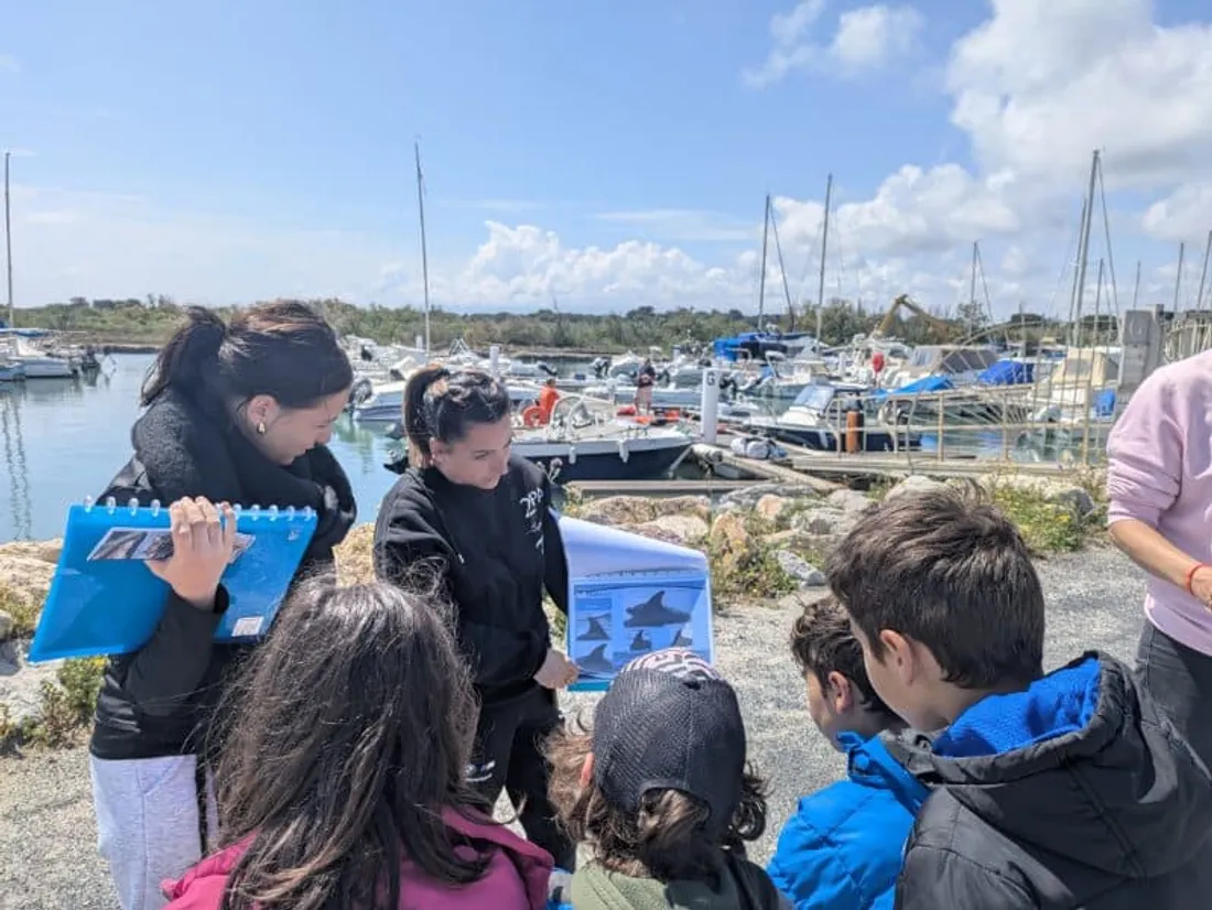 Les enfants de l'IME "le soleil des Pyrénées" parrainent un des dauphins en le baptisant "Perles"