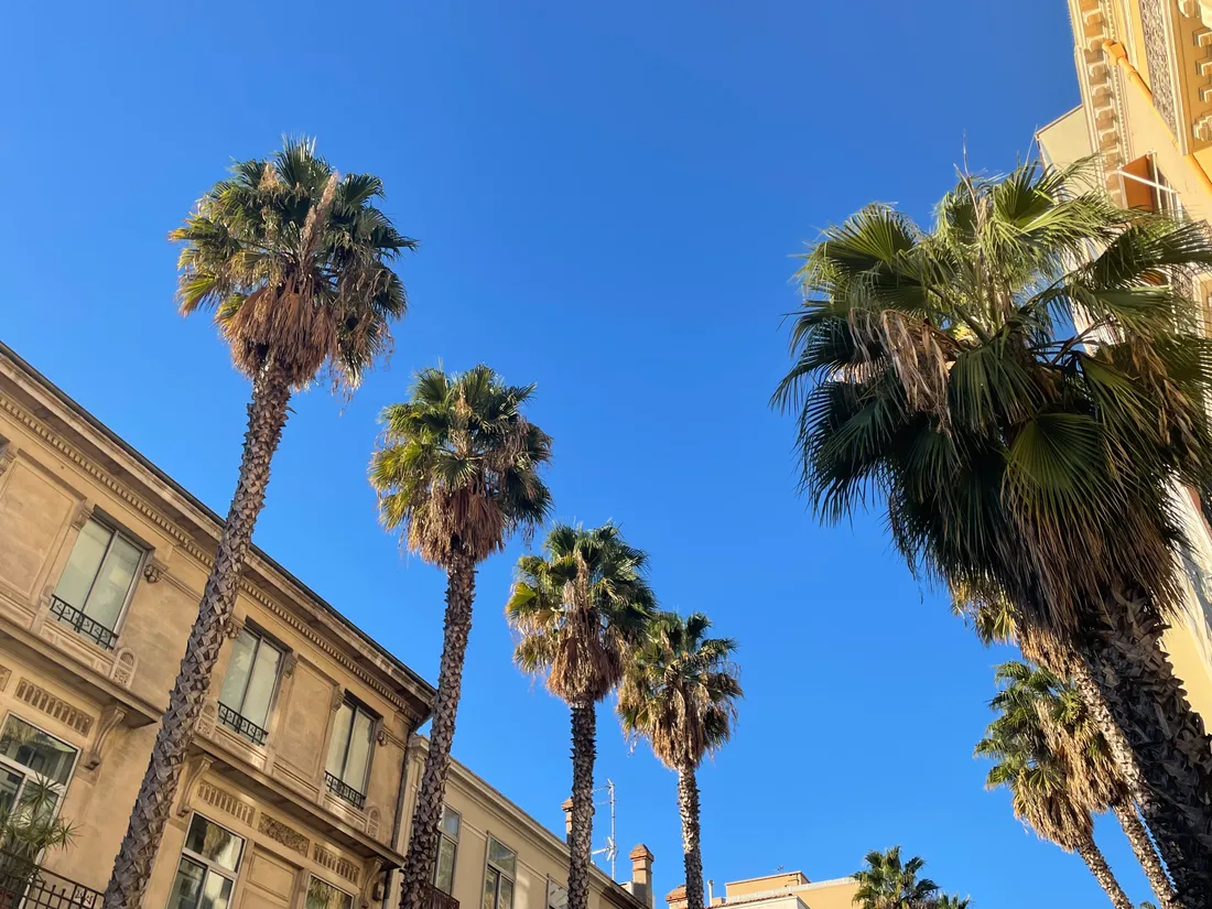 Ciel bleu à Perpignan. 