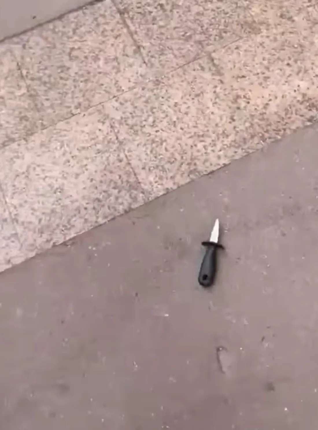 Retour sur cette violente attaque au couteau qui a visé trois policiers municipaux lundi à toulouse
