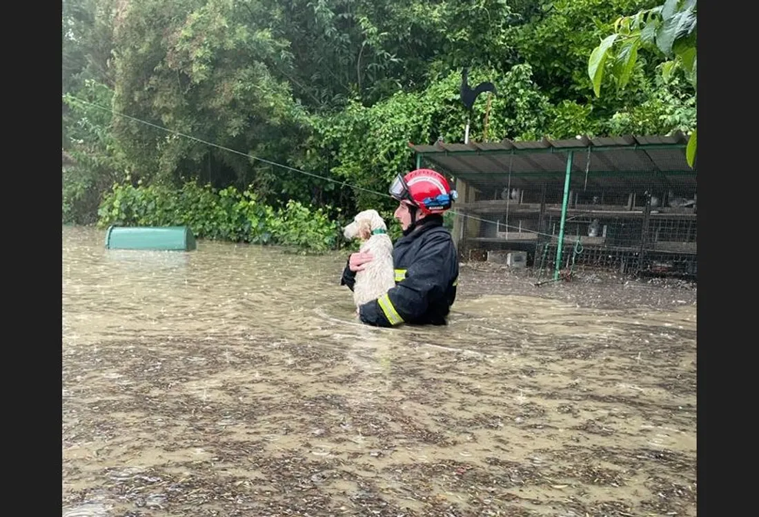 Intervention  du SDIS 31  ce mardi soir