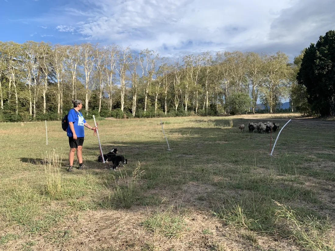 Bergerie associative