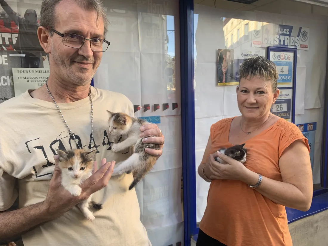 Chatons castres sauvés