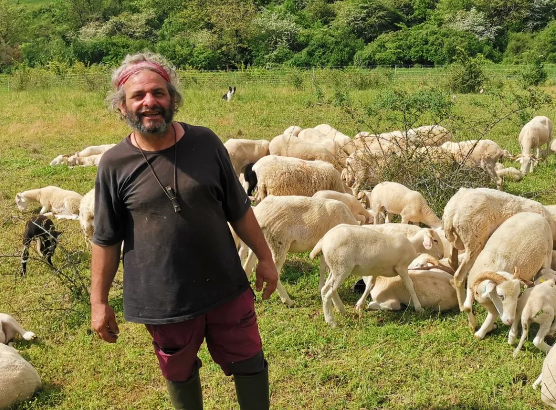Moïse va faire transiter ses brebis de Villeneuve lès Bouloc à Launaguet dimanche 