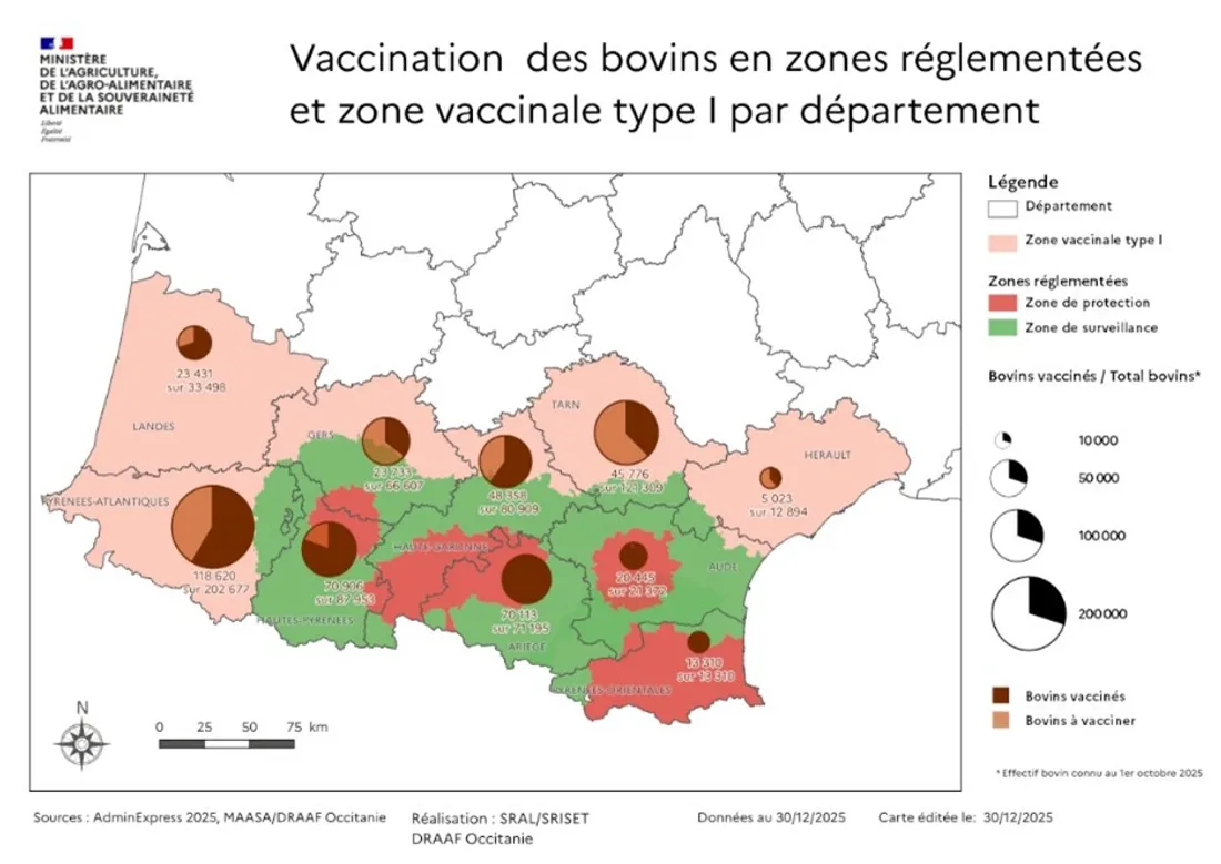 Carte de la vaccination des bovins en zones règlementées