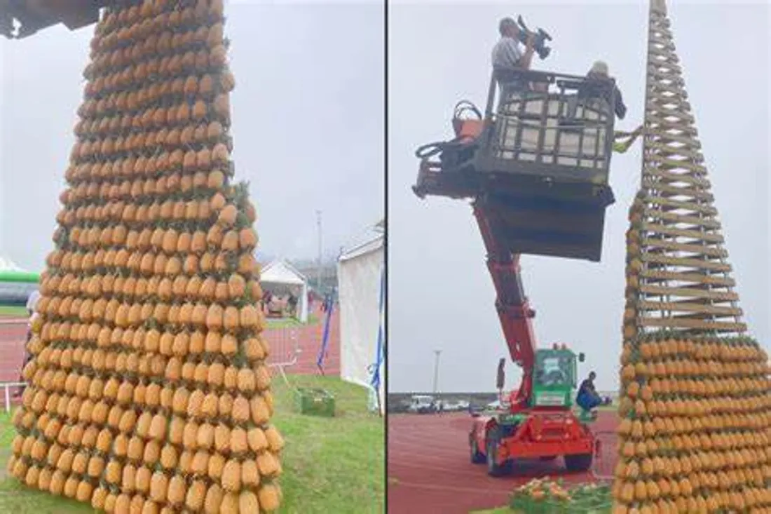 La plus haute tour de fruits au monde a vu le jour à la Réunion ! 