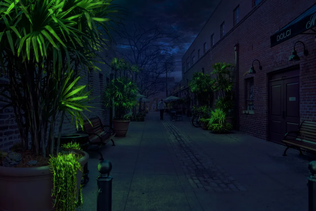 Voilà à quoi ressembleraient ces plantes "lampadaires" !