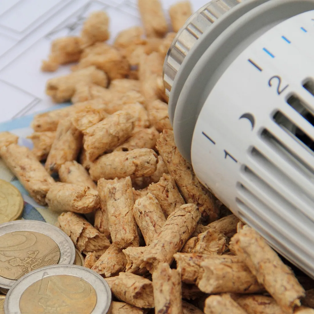 De nombreux ménages ont choisi les pellets comme mode de chauffage