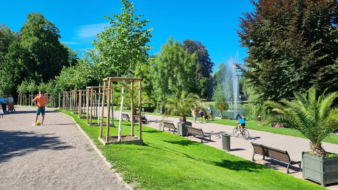 La Ville de Strasbourg dévoile les premiers axes de travail de l'Orangerie.