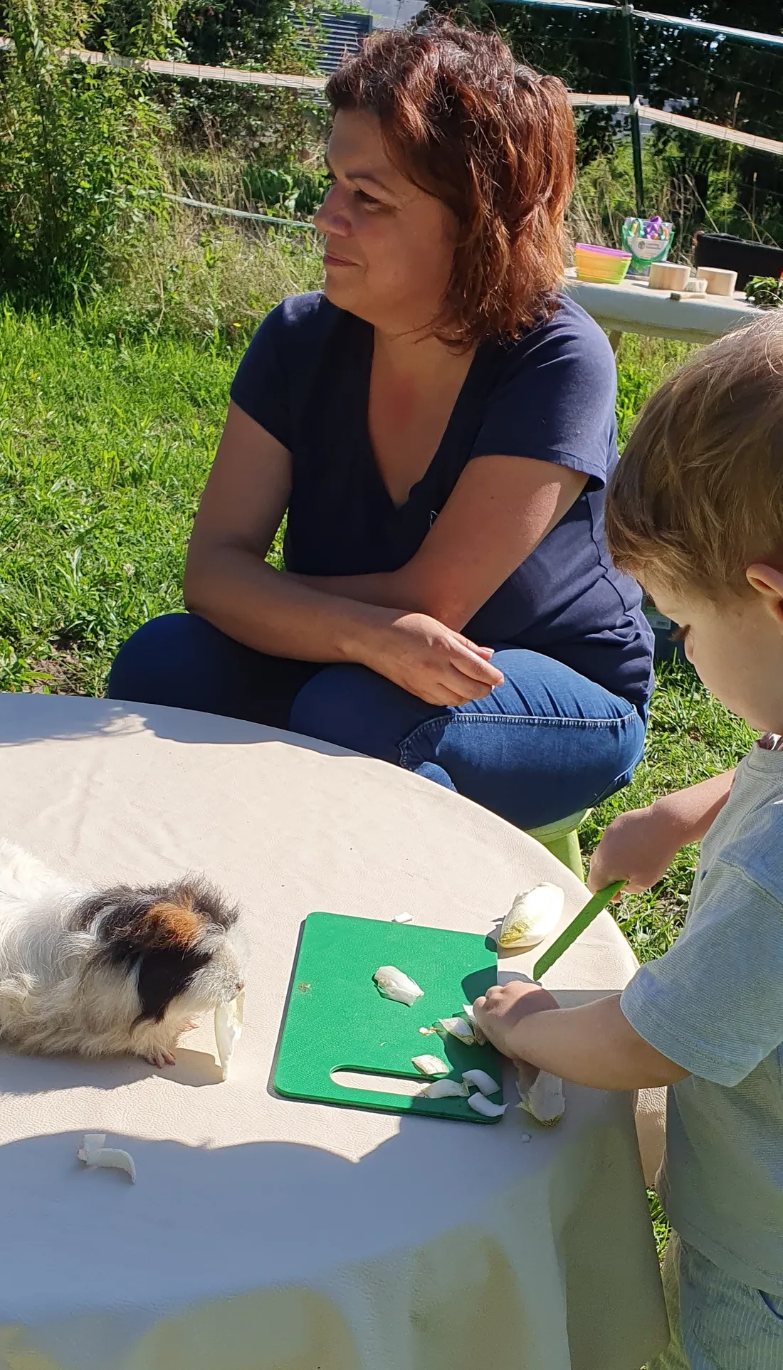 Mediation animale un poil'humain