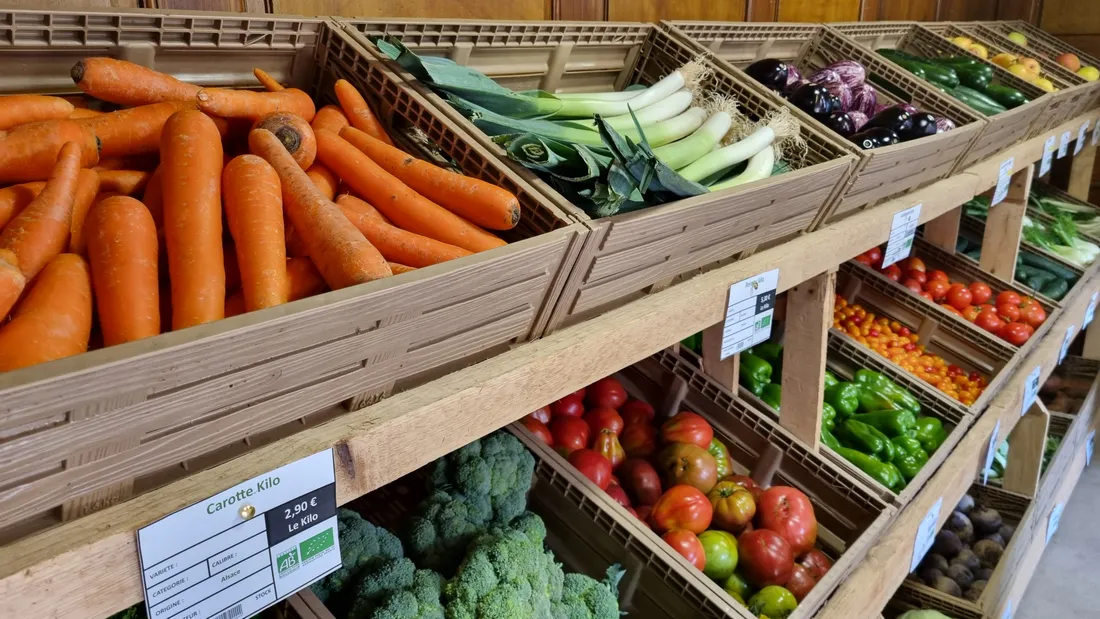 Prolongation et extension de l’ordonnance verte à Strasbourg