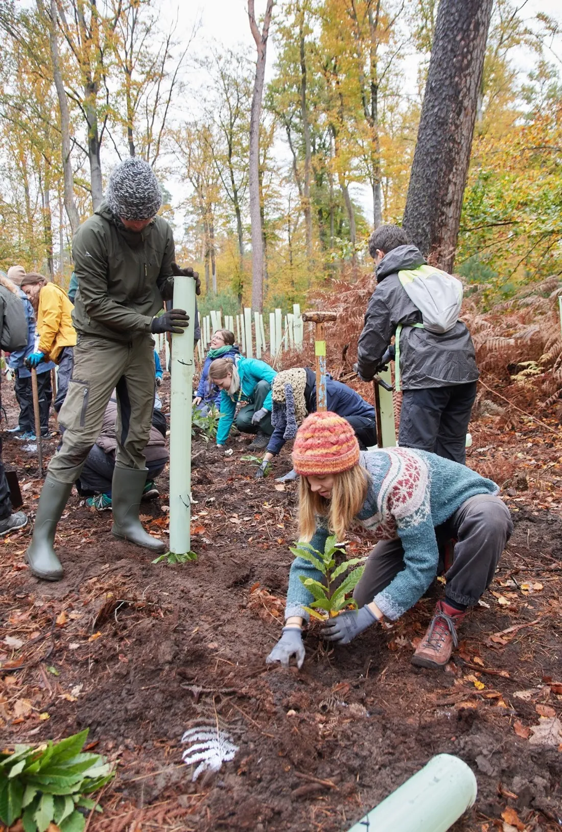 30 jeunes ont planté 4 500 arbres.