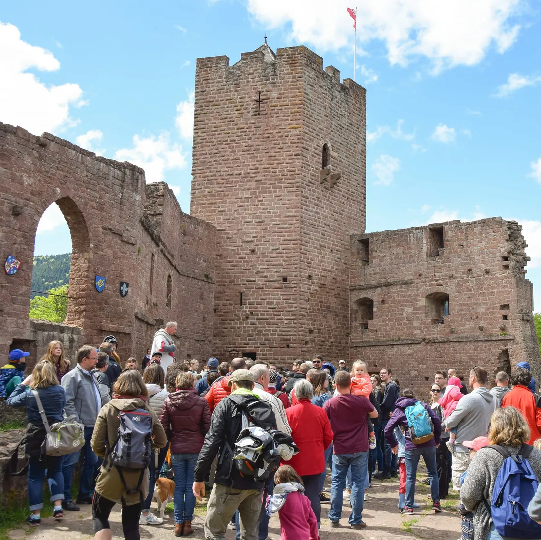 Château de Wangenbourg