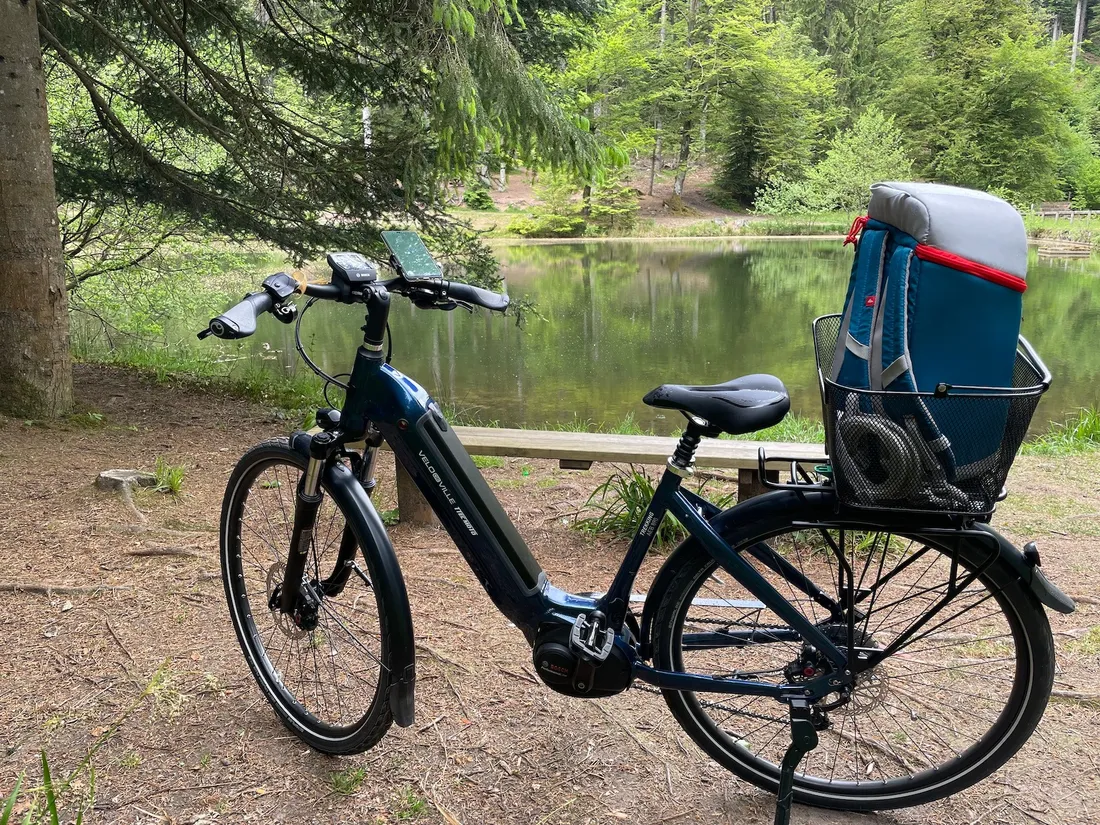 Un tour de vélo dans le Pays Rhénan